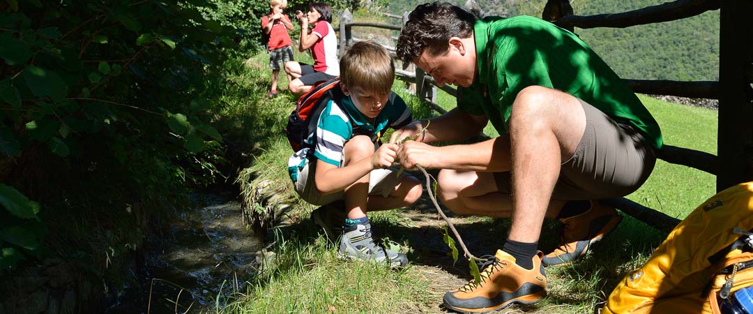 Spass Für Die Ganze Familie - Walwege